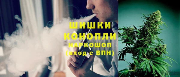 тгк Лагань