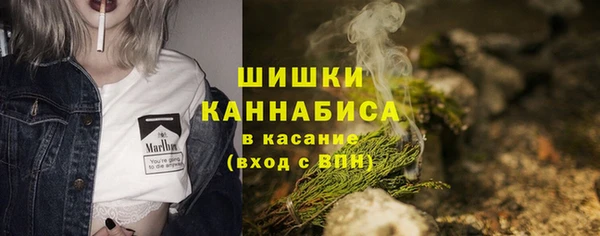 тгк Лагань